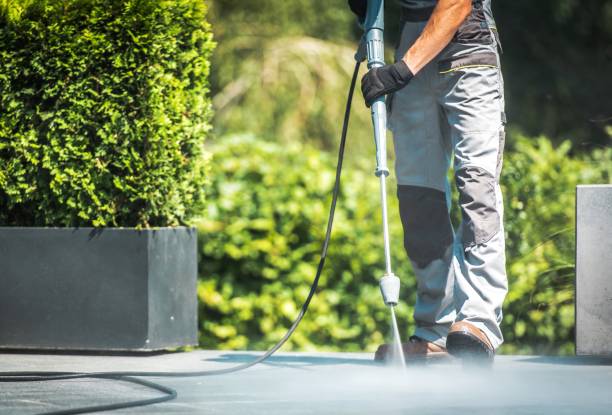 Best Solar Panel Cleaning  in Williams, AZ